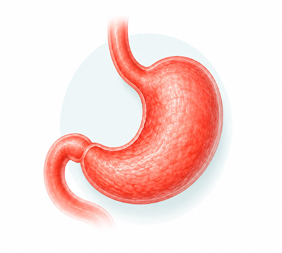 Endoscopía de evaluación antes de una cirugía bariátrica